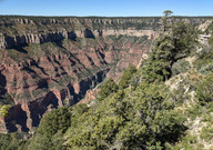 pxl_20231012_180825218_thumb.jpg