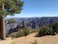 pxl_20231012_203415671_thumb.jpg