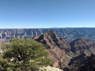 pxl_20231012_215818004_thumb.jpg