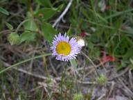 dscn1442_thumb.jpg