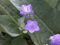 dscn1446_thumb.jpg
