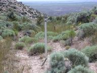 oregon_ruts_thumb.jpg