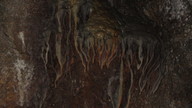 img_2101_thumb.jpg
