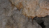 img_2105_thumb.jpg