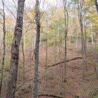 img_0433_thumb.jpg
