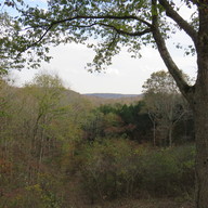 img_0446_thumb.jpg