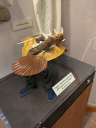 pxl_20250901_154814507_thumb.jpg