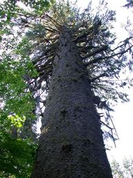 dscn0268_thumb.jpg