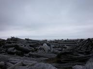 dscn0350_thumb.jpg