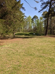 pxl_20240410_141408515_thumb.jpg