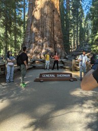 general_sherman_1_thumb.jpg