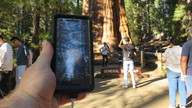img_3732_thumb.jpg