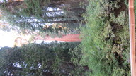 img_3735_thumb.jpg
