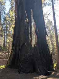 pxl_20231007_225201356_thumb.jpg