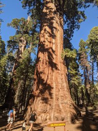 pxl_20231007_225806304_thumb.jpg