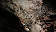 img_2006_thumb.jpg