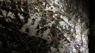 img_2012_thumb.jpg