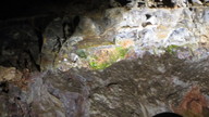img_2015_thumb.jpg