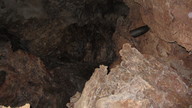 img_2028_thumb.jpg