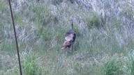 img_2040_thumb.jpg