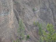 dscn0800_thumb.jpg