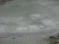 dscn1201_thumb.jpg