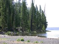 shoshone_lake2_thumb.jpg