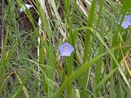 dscn0771_thumb.jpg