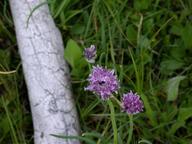 dscn1380_thumb.jpg