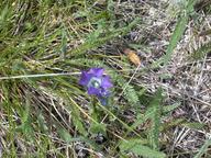 dscn1394_thumb.jpg