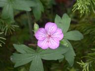 dscn1418_thumb.jpg