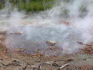 echinus_geyser_thumb.jpg