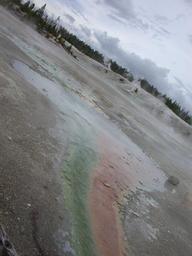 pinwheel_runoff1_thumb.jpg