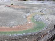 pinwheel_runoff2_thumb.jpg