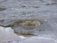 aurum_geyser_thumb.jpg