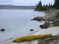 lake_yellowstone_thumb.jpg