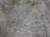 dscn0799_thumb.jpg