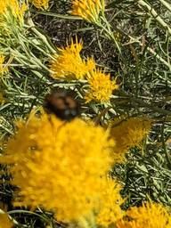 pxl_20231011_160407743_thumb.jpg