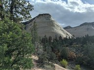 pxl_20231011_223427315_thumb.jpg