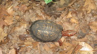 img_3908_thumb.jpg