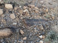 pxl_20231010_002257735_thumb.jpg