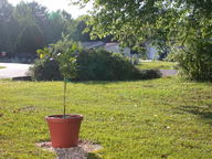 dscn2096_thumb.jpg