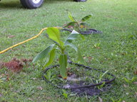 dscn2097_thumb.jpg