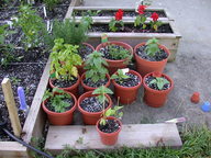 dscn2101_thumb.jpg