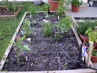 dscn2102_thumb.jpg