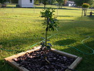 dscn2103_thumb.jpg