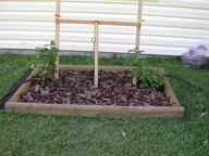 dscn2104_thumb.jpg