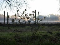 az-r9_thumb.jpg