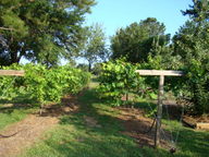 dsc00755_thumb.jpg