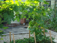dsc00757_thumb.jpg